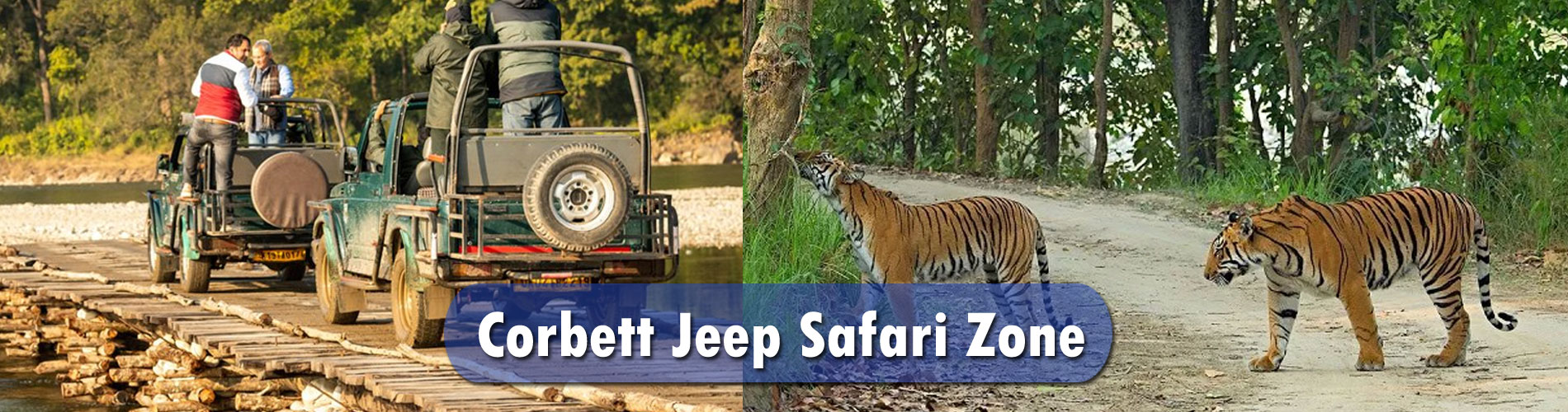 Corbett Jeep Safari Zone